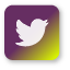 Twitter-behackerpro