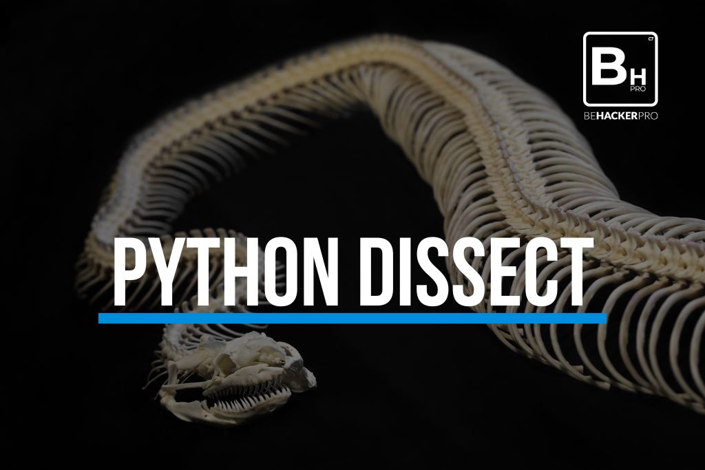 Que-es-y-como-funciona-Python-dissect-behackerpro-ciberseguridad